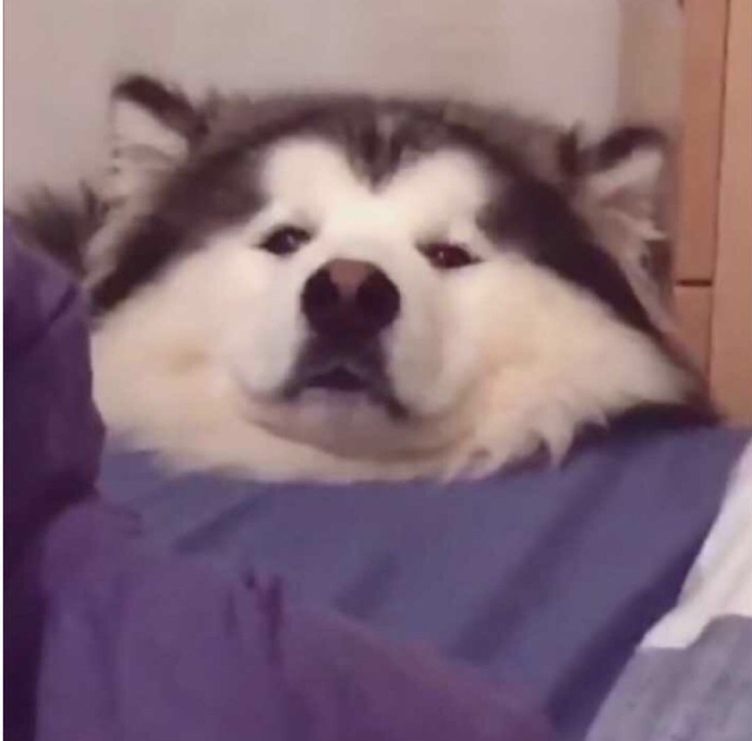 可爱搞怪微信头像