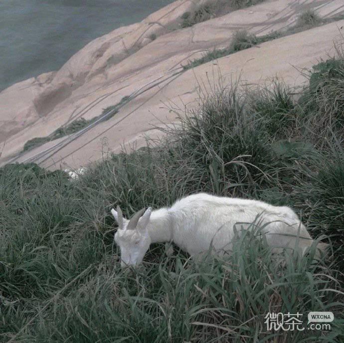 有意境的微信朋友圈背景图
