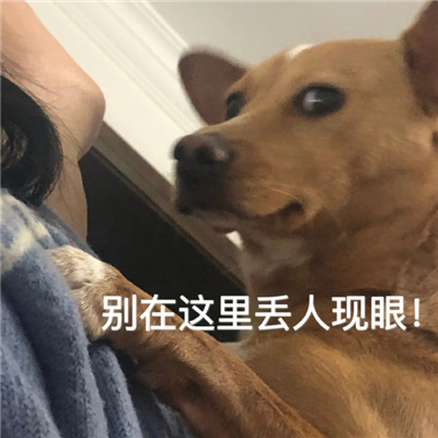 挺实用的表情