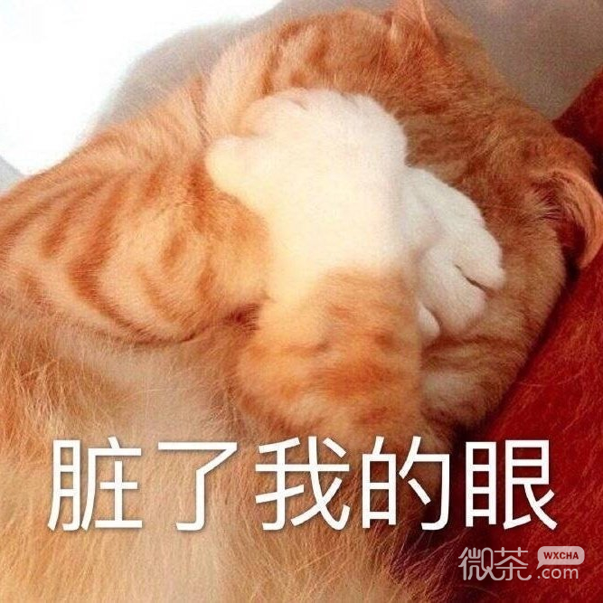 可爱呆萌怼人文字微信表情包