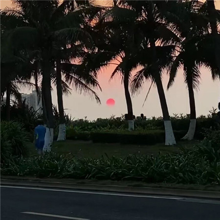 高级好看的ins个性背景图