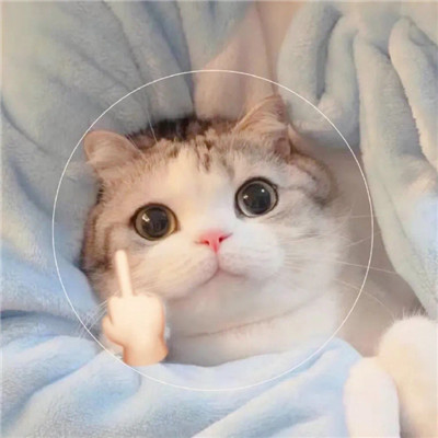 热门好看的个性情侣微信头像