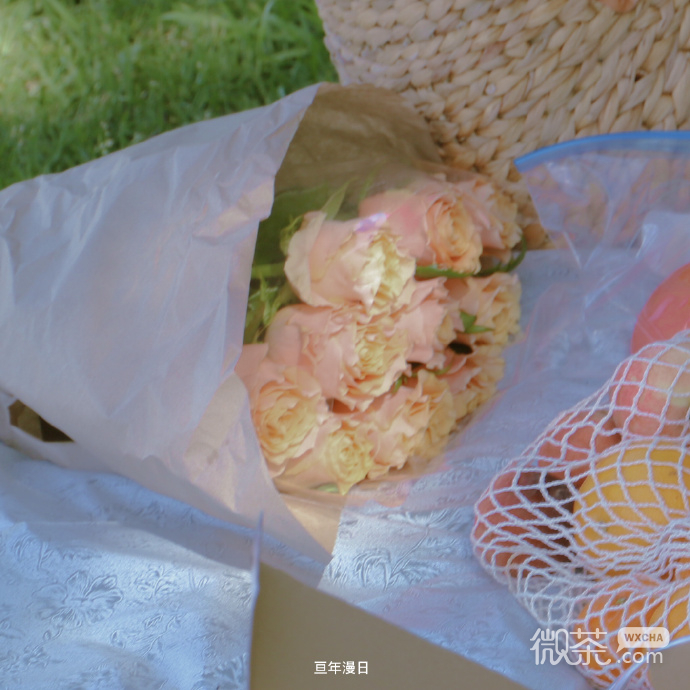 清新简单纯净好看的微信背景图
