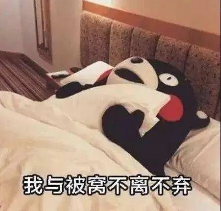 不想起床搞笑微信表情包
