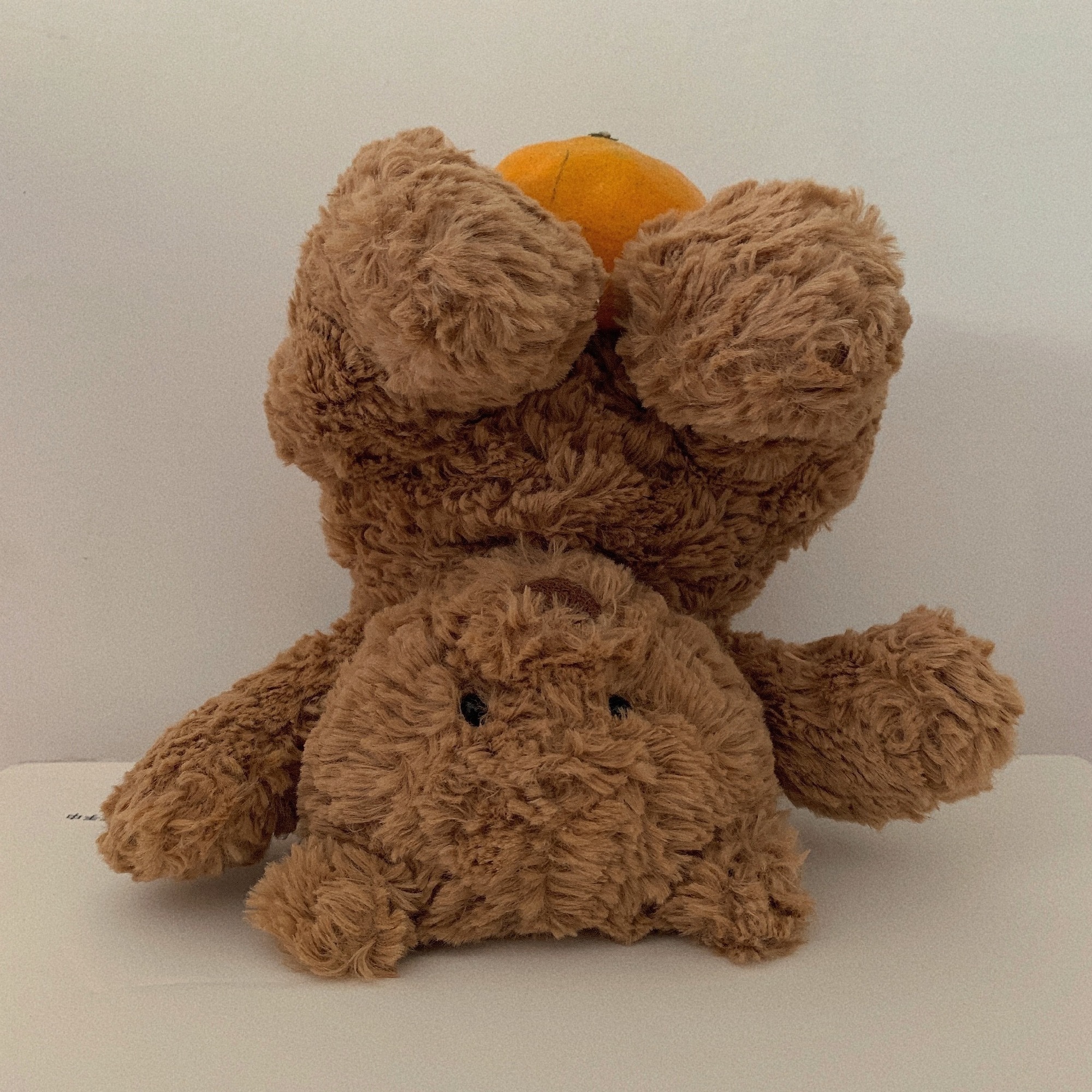 巴塞罗熊可爱微信头像