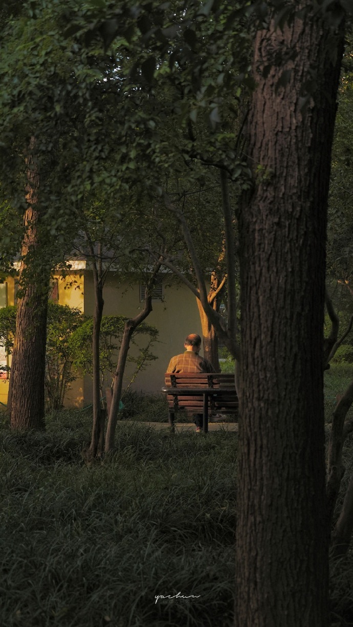 森系唯美意境微信聊天背景图