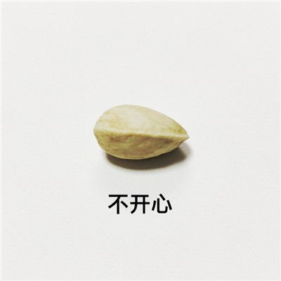 开心果的不同有趣解读微信表情包