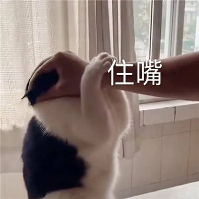 我跟你拼了热门表情包