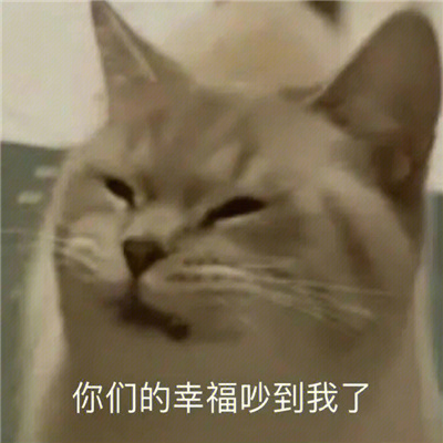 斗图专用的聊天表情