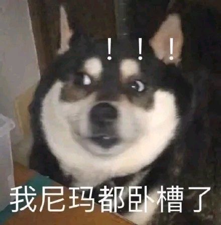干干净净搞笑微信表情包