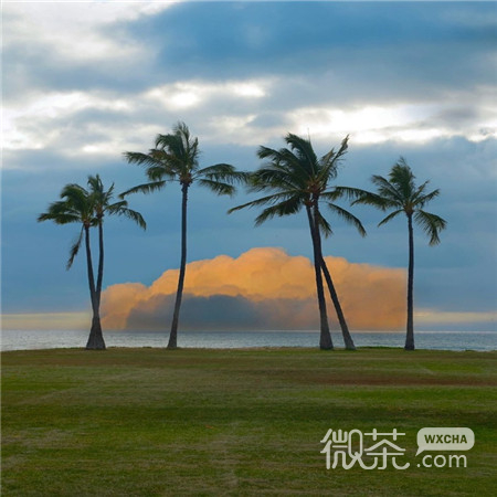 吸睛的唯美风景微信聊天背景图