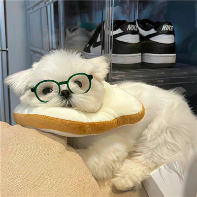 搞怪头像超级逗比