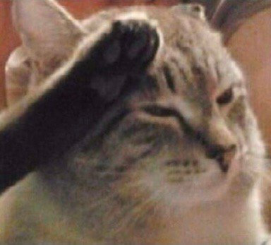 猫咪敬礼可爱微信表情包