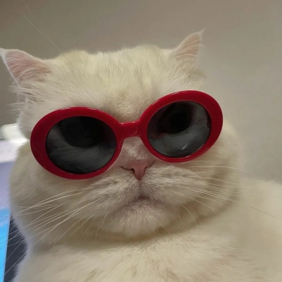 超可爱的萌宠头像