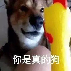 最新最好玩的热门斗图微信表情包