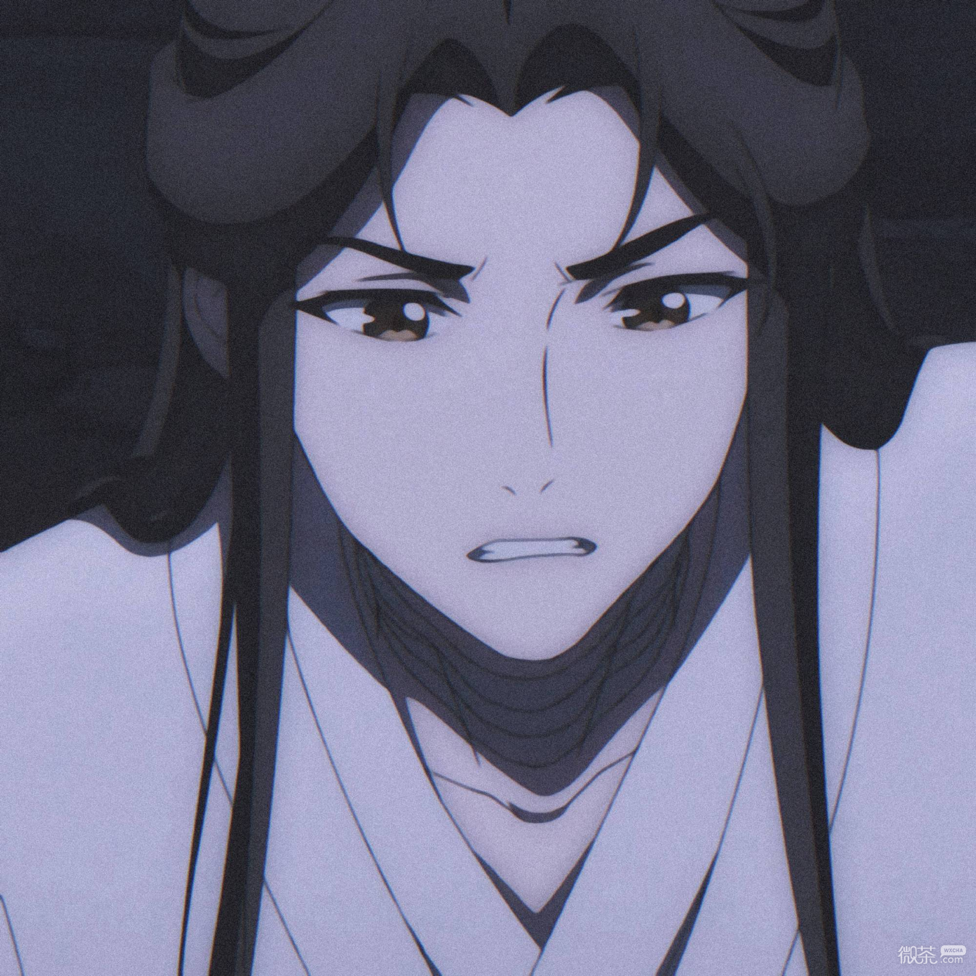《天官赐福》仙乐太子谢怜微信头像