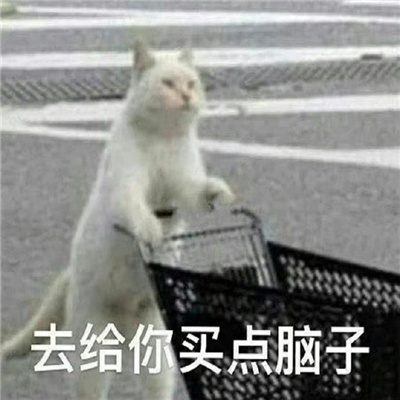 全网最沙雕的有趣搞怪表情