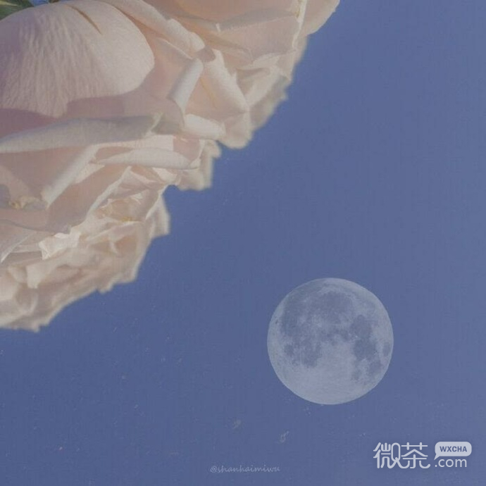神秘好看的微信背景图