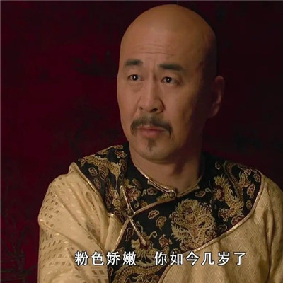 全新好笑的甄嬛传表情包