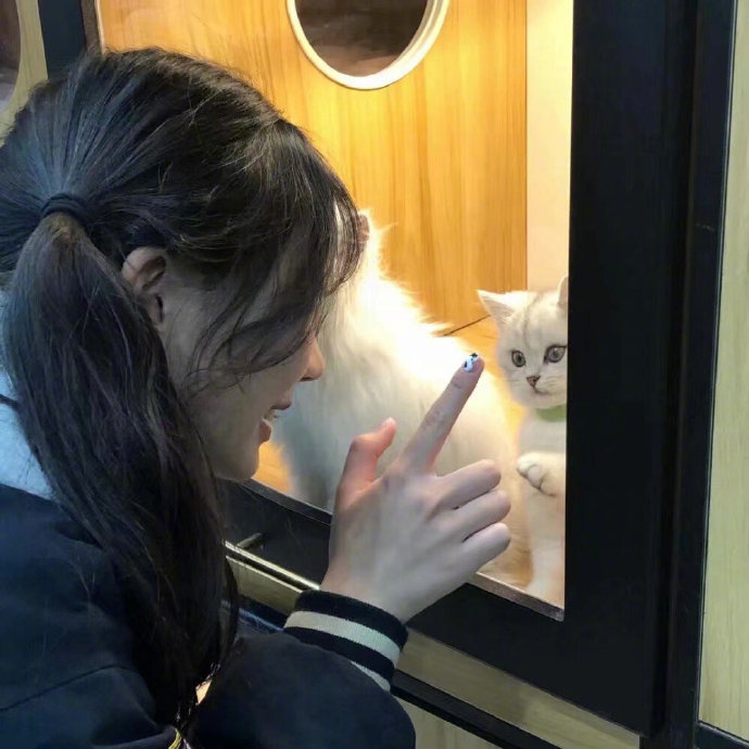 逗猫的可爱女生微信头像