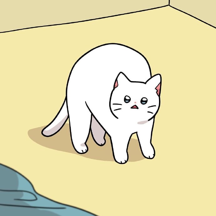 可爱猫咪插画微信朋友圈背景图