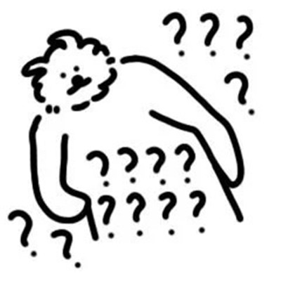 线条猫很可爱的又很实用表情