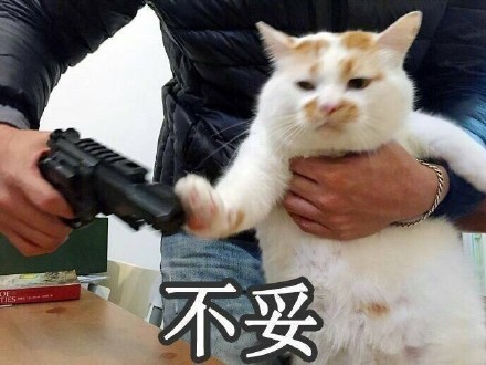 沙雕猫猫拿枪微信表情包