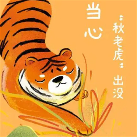 秋老虎微信带字搞笑图片