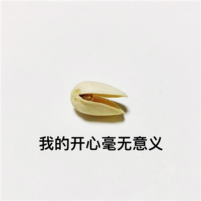 开心果的不同有趣解读微信表情包