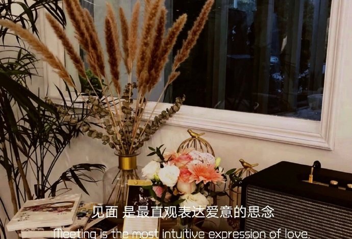 简约的治愈的唯美的微信朋友圈配图