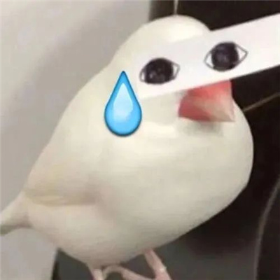 开启聊天话题表情包