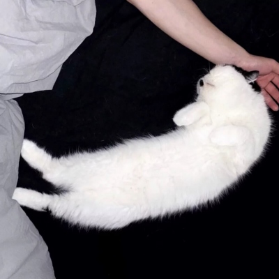 个性低调的部位男生微信头像