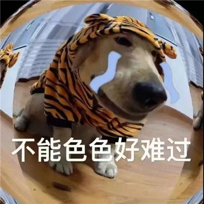 大冤种表情包合集