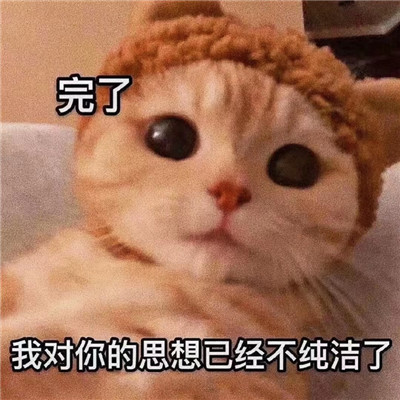 情侣之间发的色色聊天表情