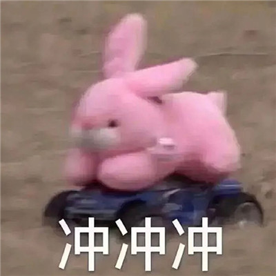 网络最火的表情合集