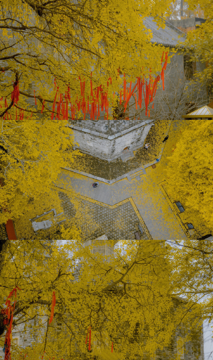 春的三屏清新聊天背景图