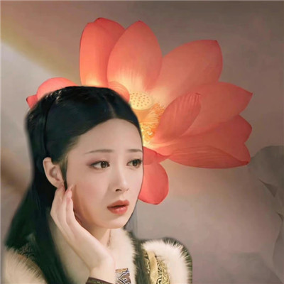 甄嬛传有趣的姐妹头像