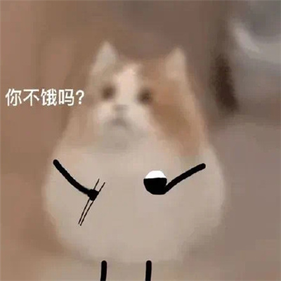 有趣又很好玩的打招呼表情包