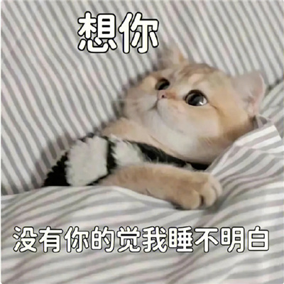 沙雕斗图幽默聊天表情