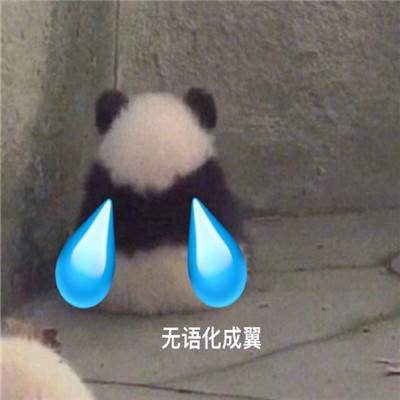 我跟你拼了热门表情包