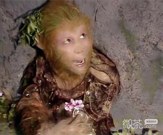斗图聊天可用的微信表情包