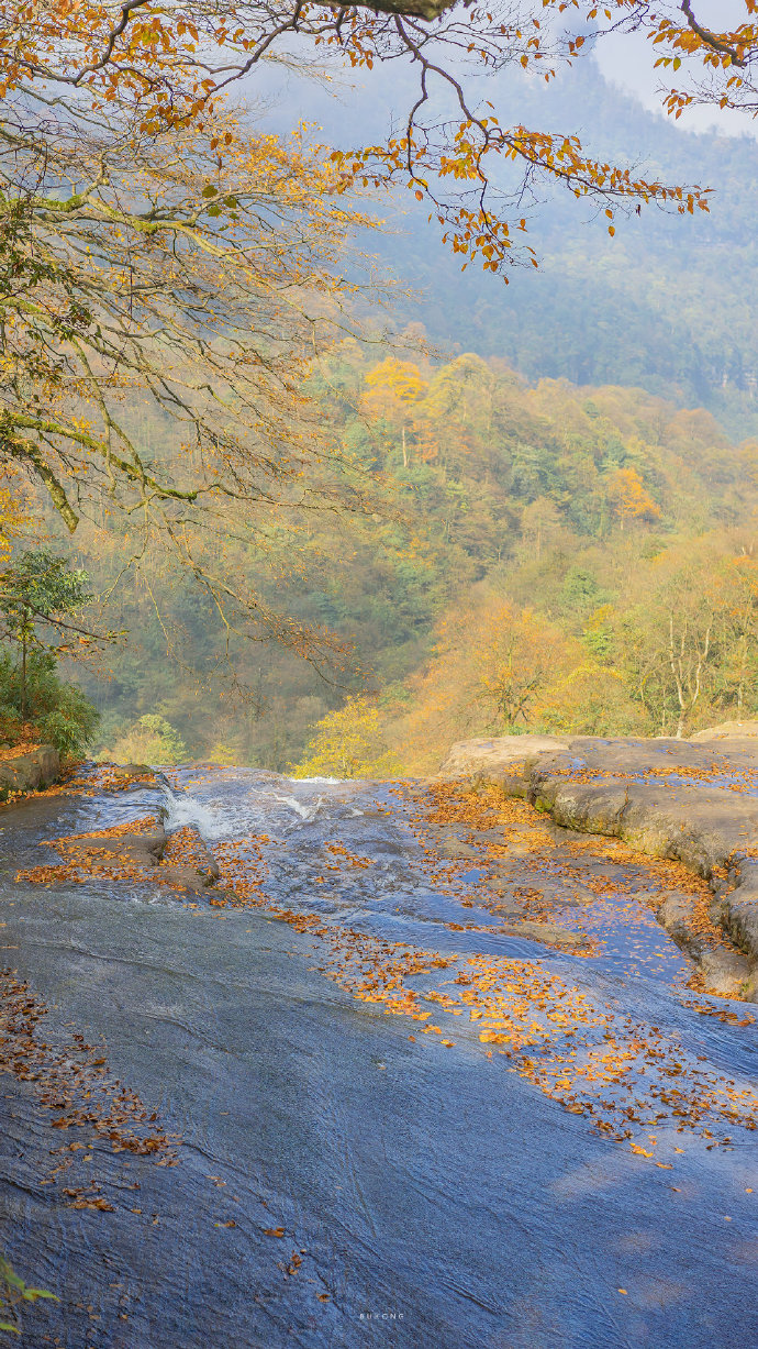 超爱的好看的手机壁纸