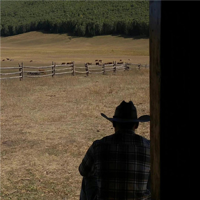 超级优质的氛围感十足的背影男头