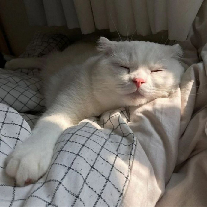 搞怪可爱好玩微信头像