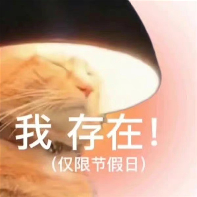 聊天变丰富的趣味好笑表情