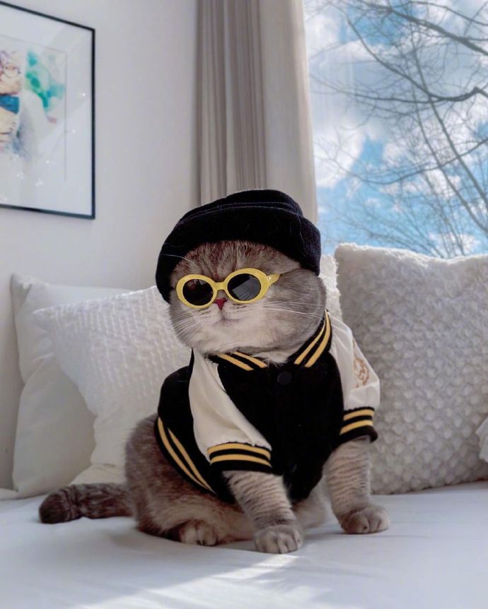 酷酷的百变喵星人微信头像