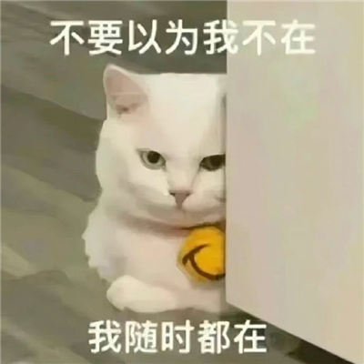 舍不得删的沙雕表情包
