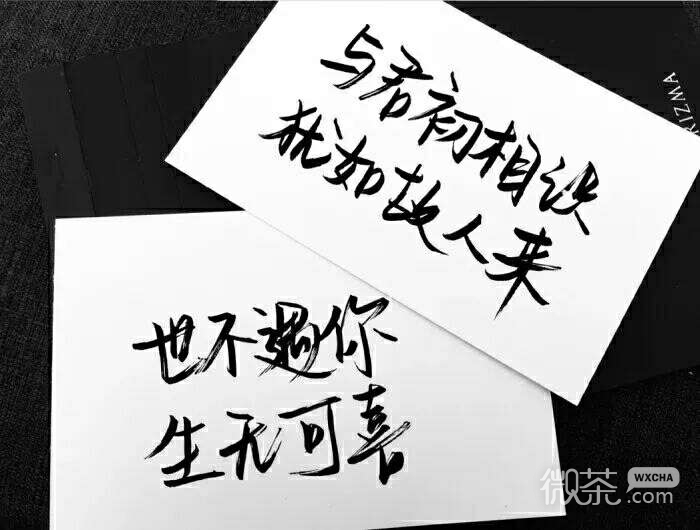 人都有各自的月亮朋友圈配图图片