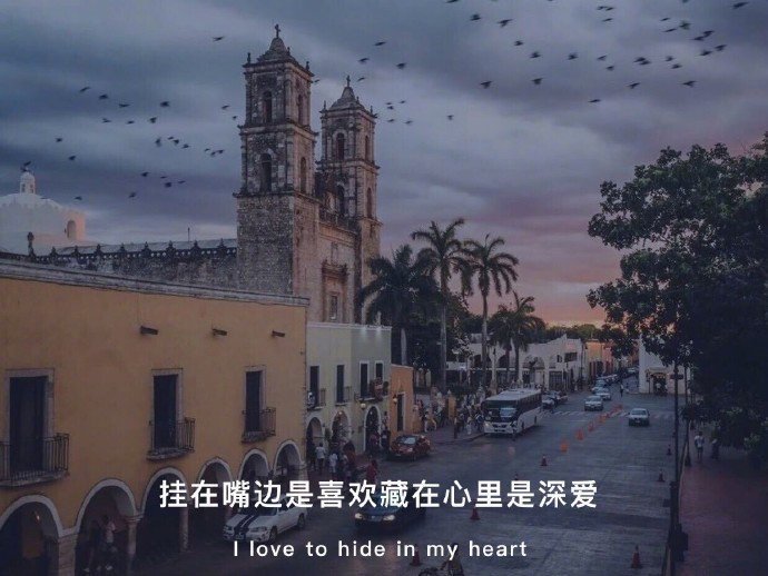 情感唯美的微信聊天背景图