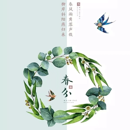 今日春分专属的微信聊天背景图
